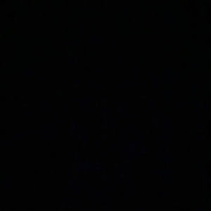 Meet your Posher, Alexia